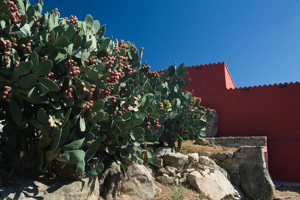 Hostal Liscia Country Relais Sant'Antonio di Gallura Exterior foto