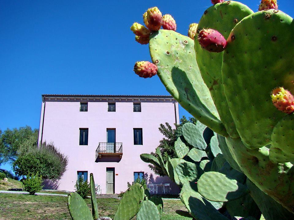 Hostal Liscia Country Relais Sant'Antonio di Gallura Exterior foto
